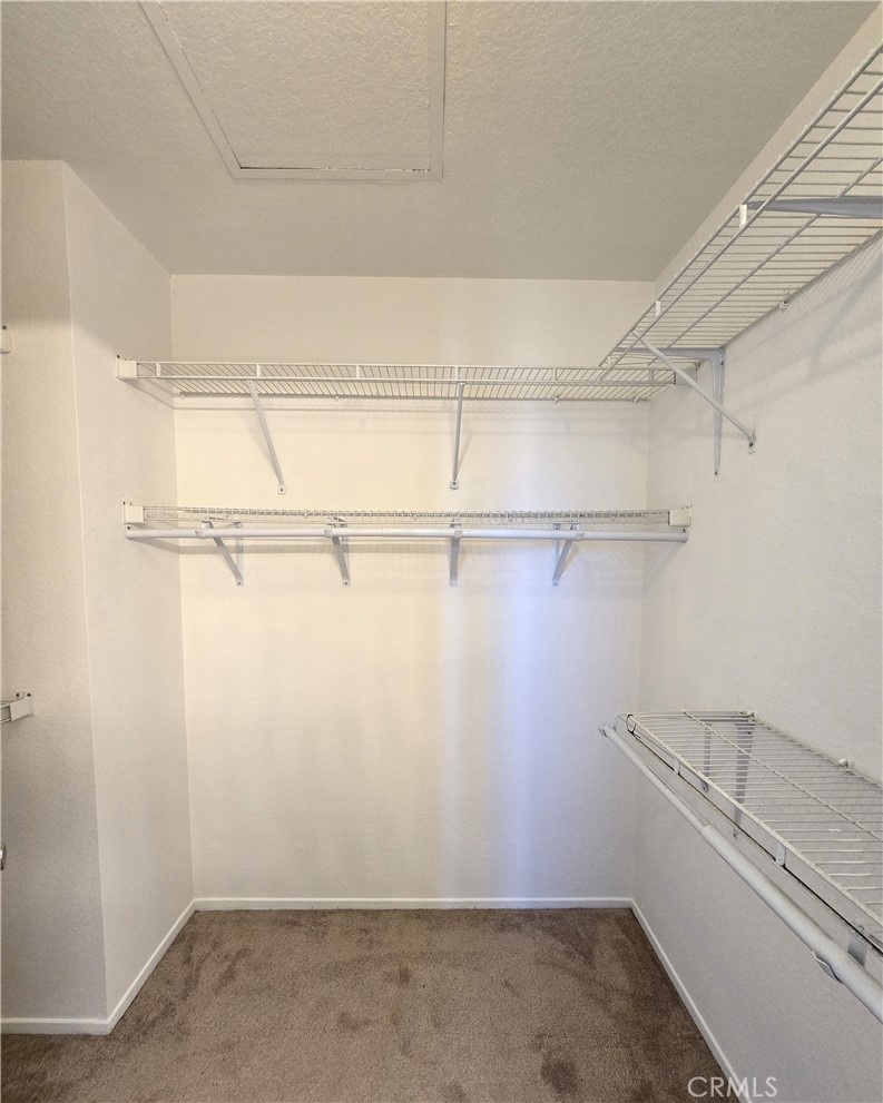 3121 Crowne Drive