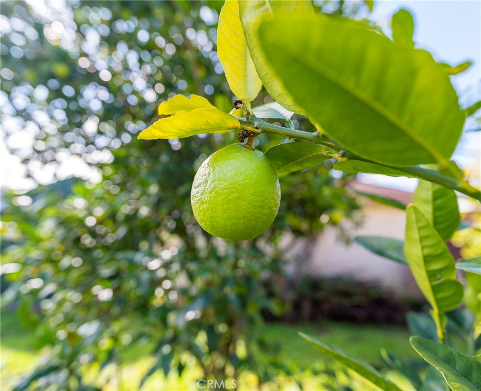 5105 W Carson Street