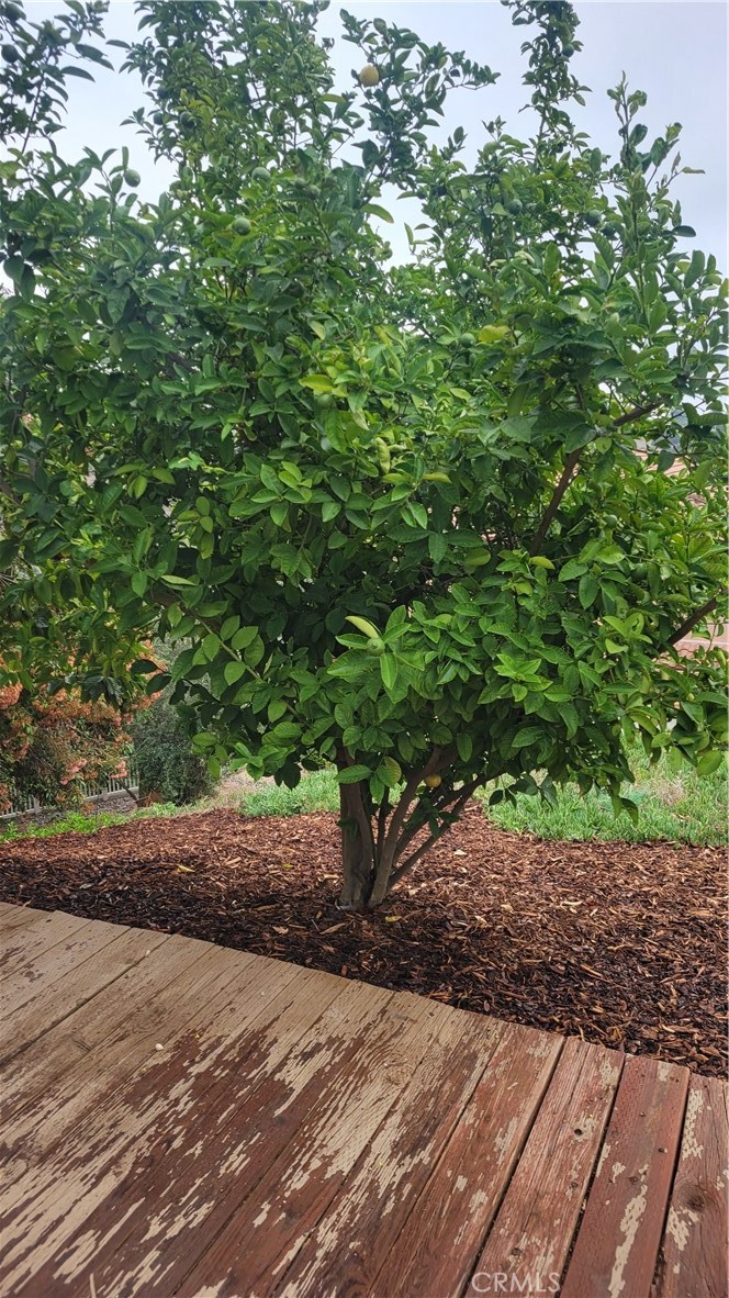 2052 Rusty Spur Road