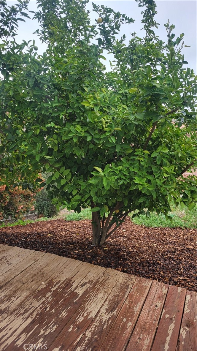 2052 Rusty Spur Road