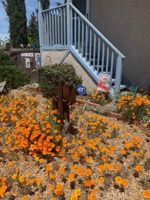 14333 Boxtree Street