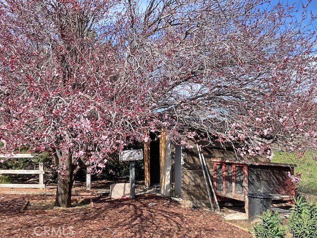 14333 Boxtree Street