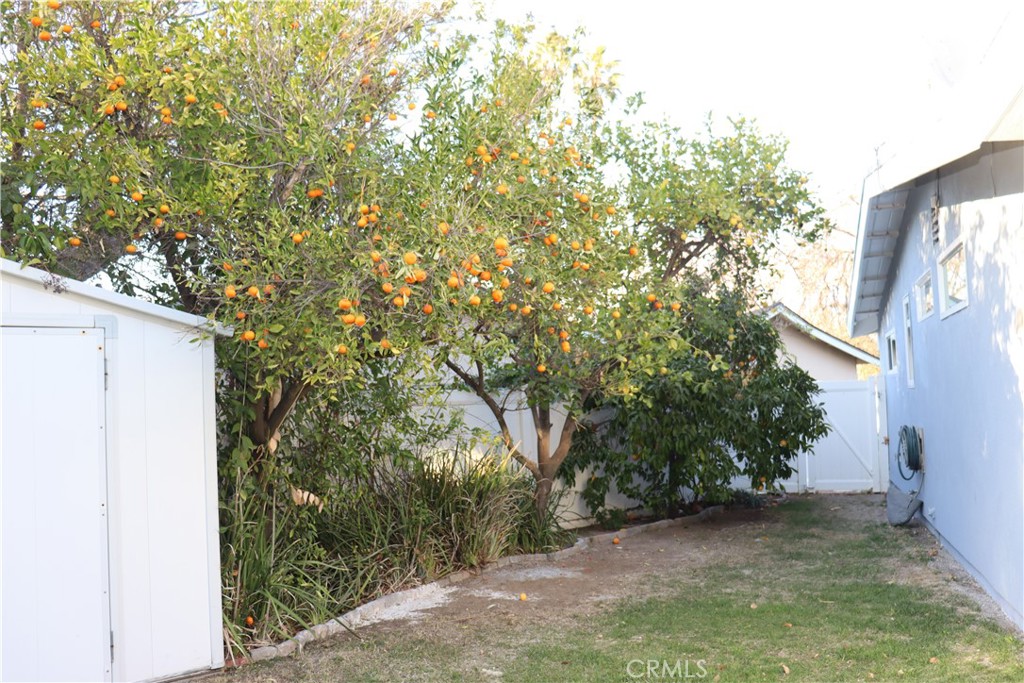 23166 Gainford Street