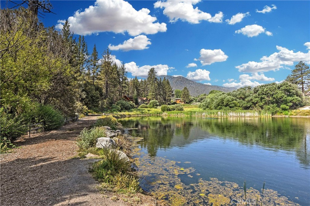 2104 St. Bernard Drive