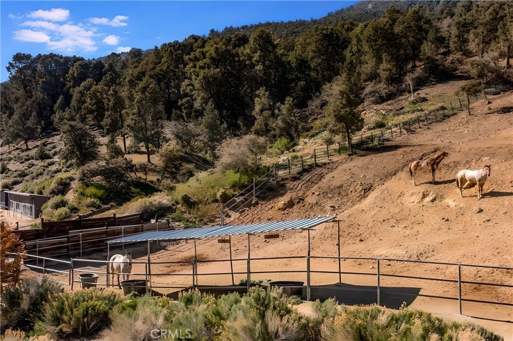 2104 St. Bernard Drive