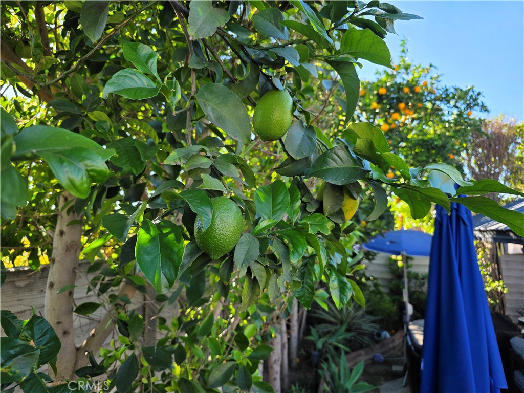 16264 Kalisher Street