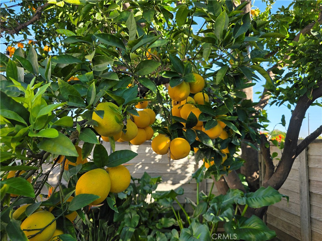 16264 Kalisher Street