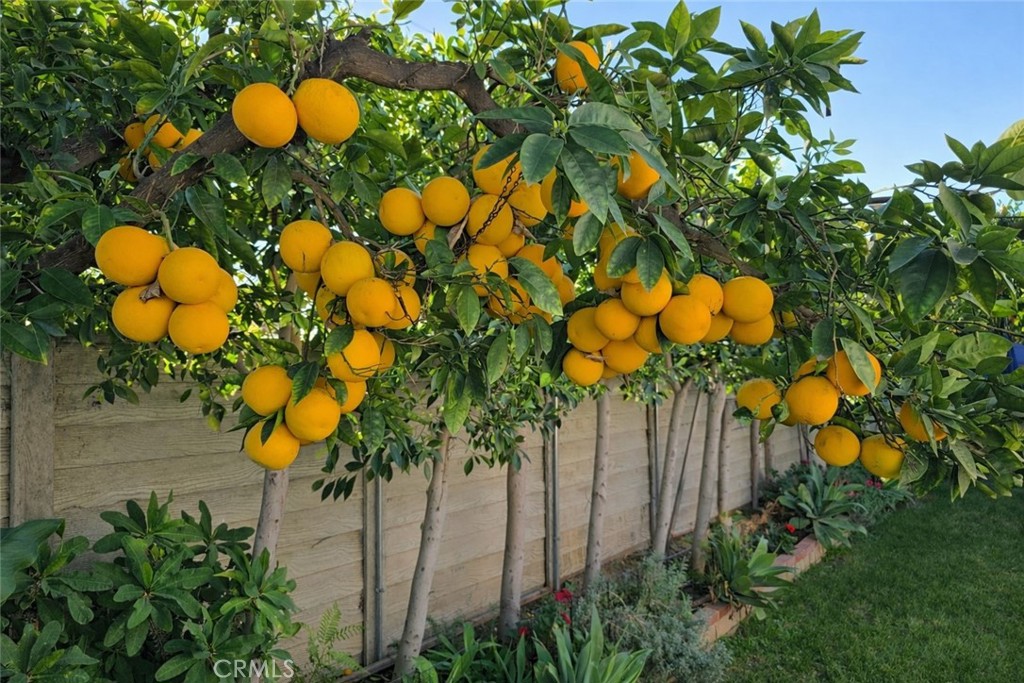 16264 Kalisher Street