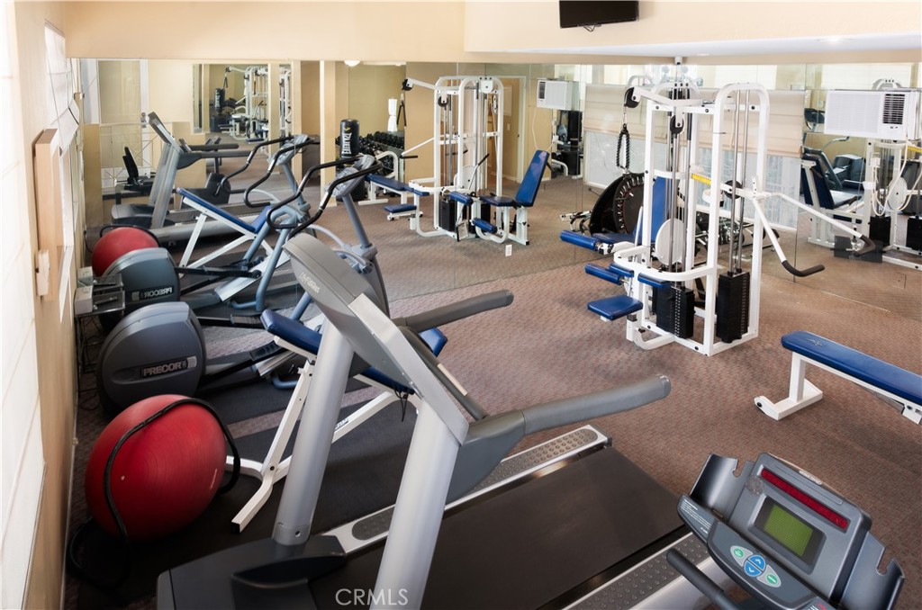 355 N Maple Street 203