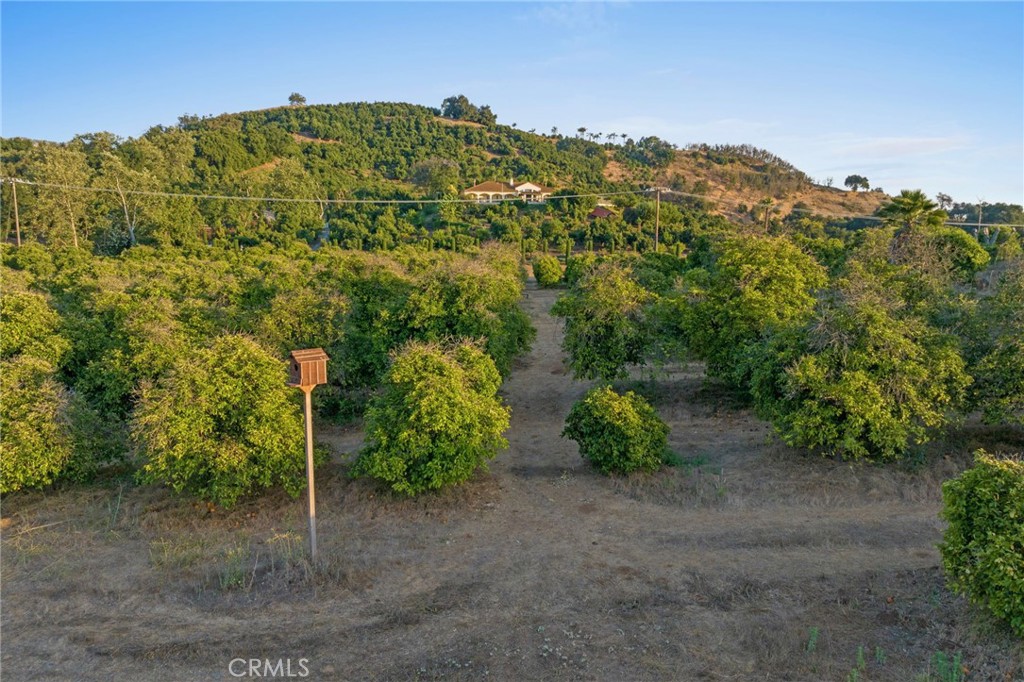 13 Via Santa Rosa