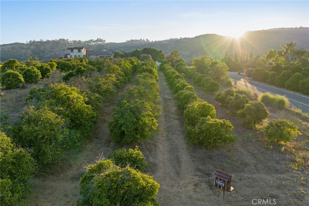 13 Via Santa Rosa