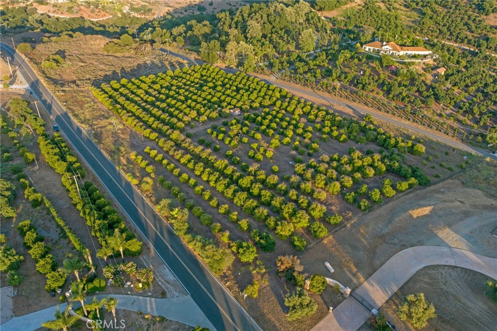 13 Via Santa Rosa