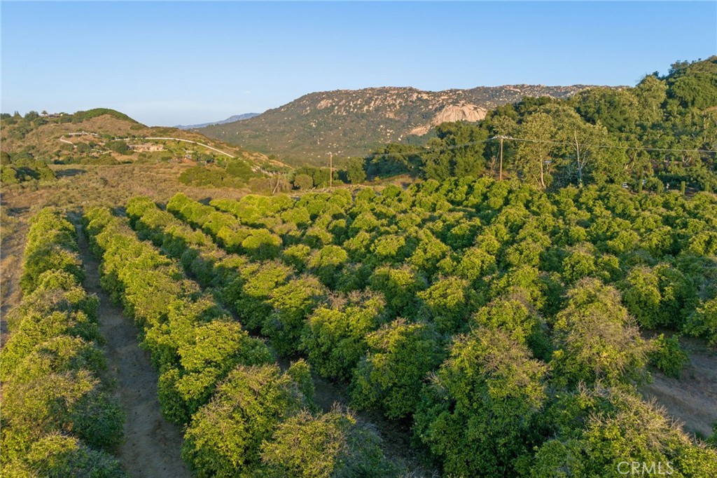 13 Via Santa Rosa