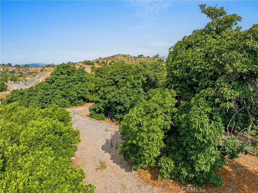 43800 Calle Capistrano