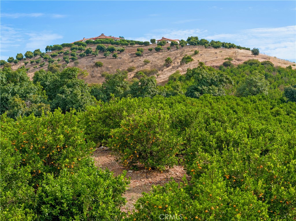 43800 Calle Capistrano