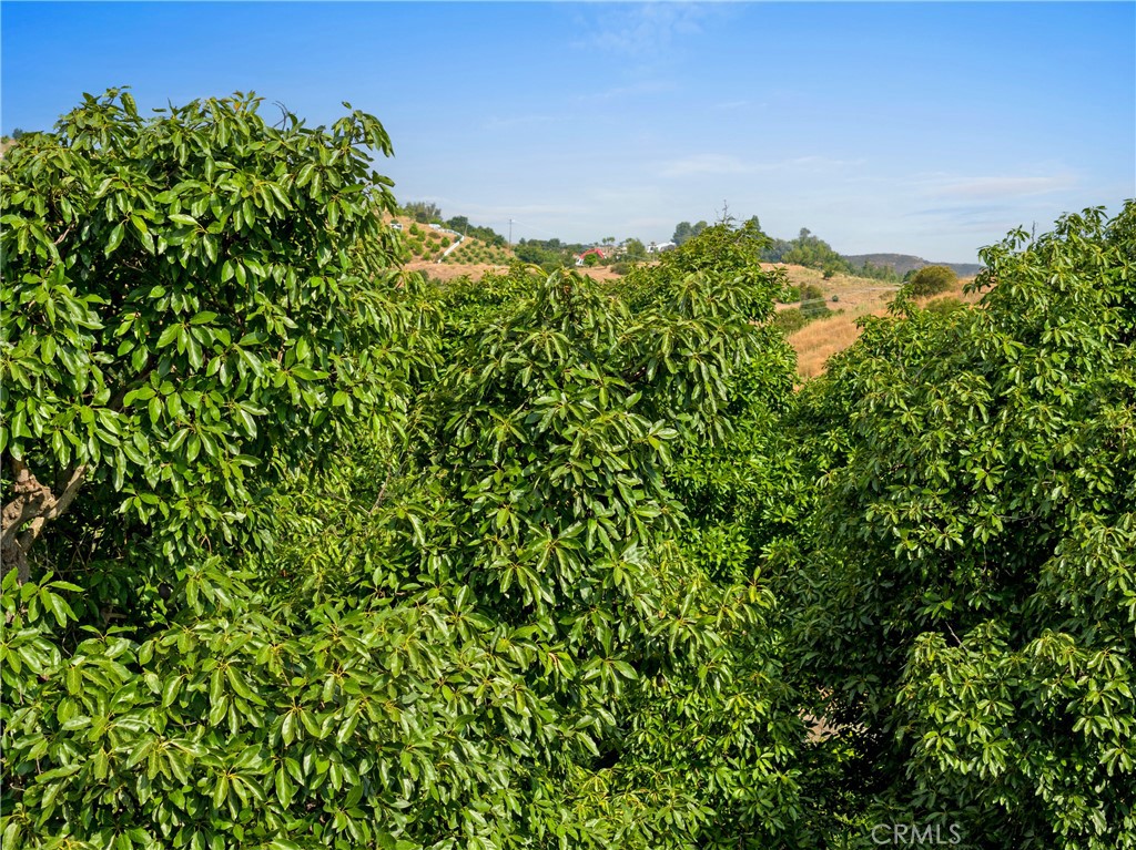 43800 Calle Capistrano