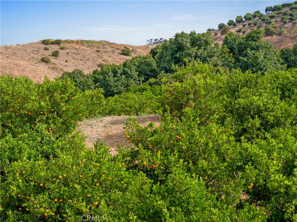 43800 Calle Capistrano