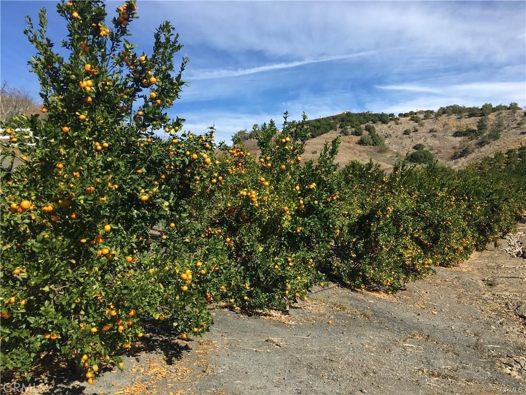 43800 Calle Capistrano