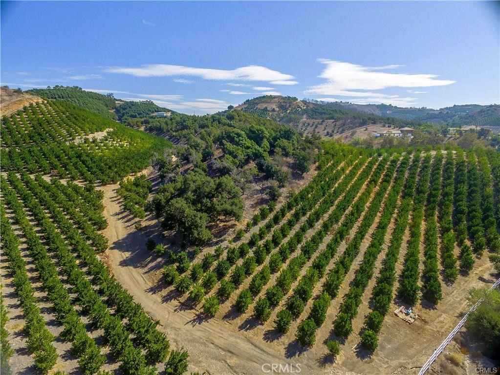 43800 Calle Capistrano