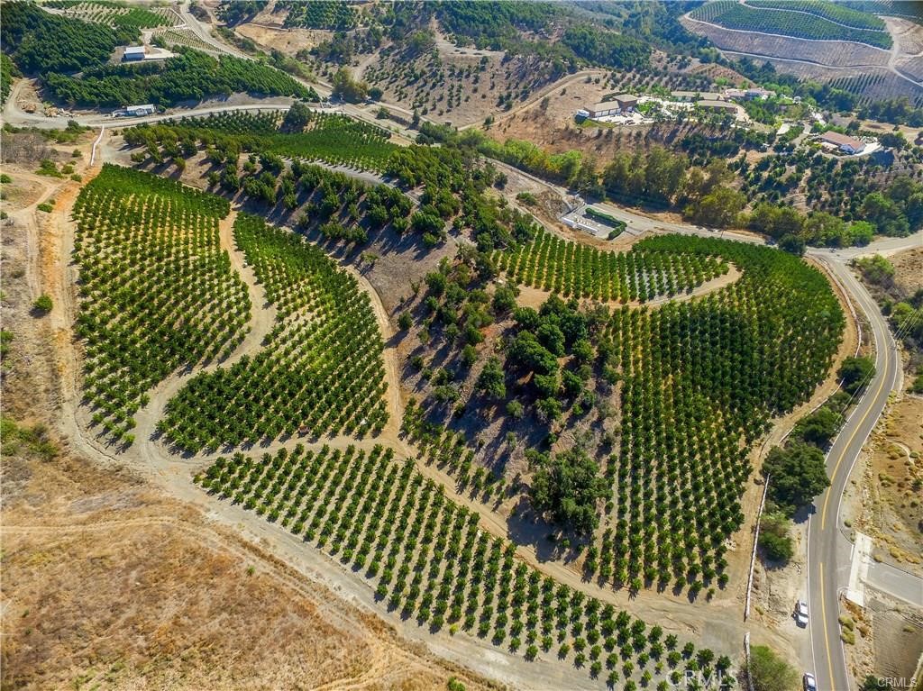 43800 Calle Capistrano