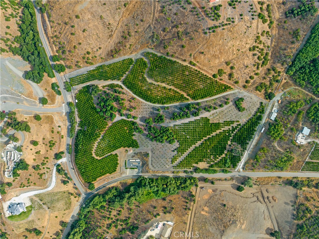 43800 Calle Capistrano