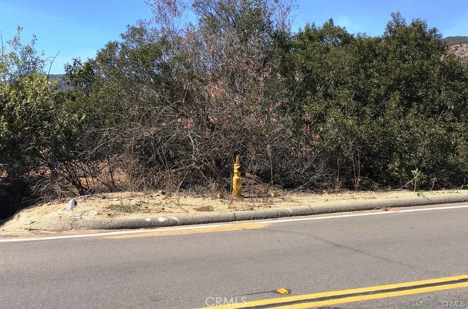 1 Camaron Rd. APN#933-080-015 Road