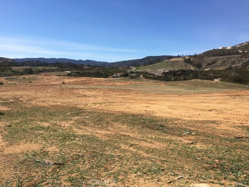 1 Camaron Rd. APN#933-080-015 Road