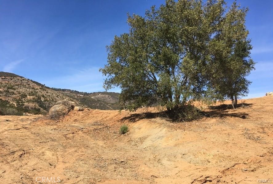 1 Camaron Rd. APN#933-080-015 Road