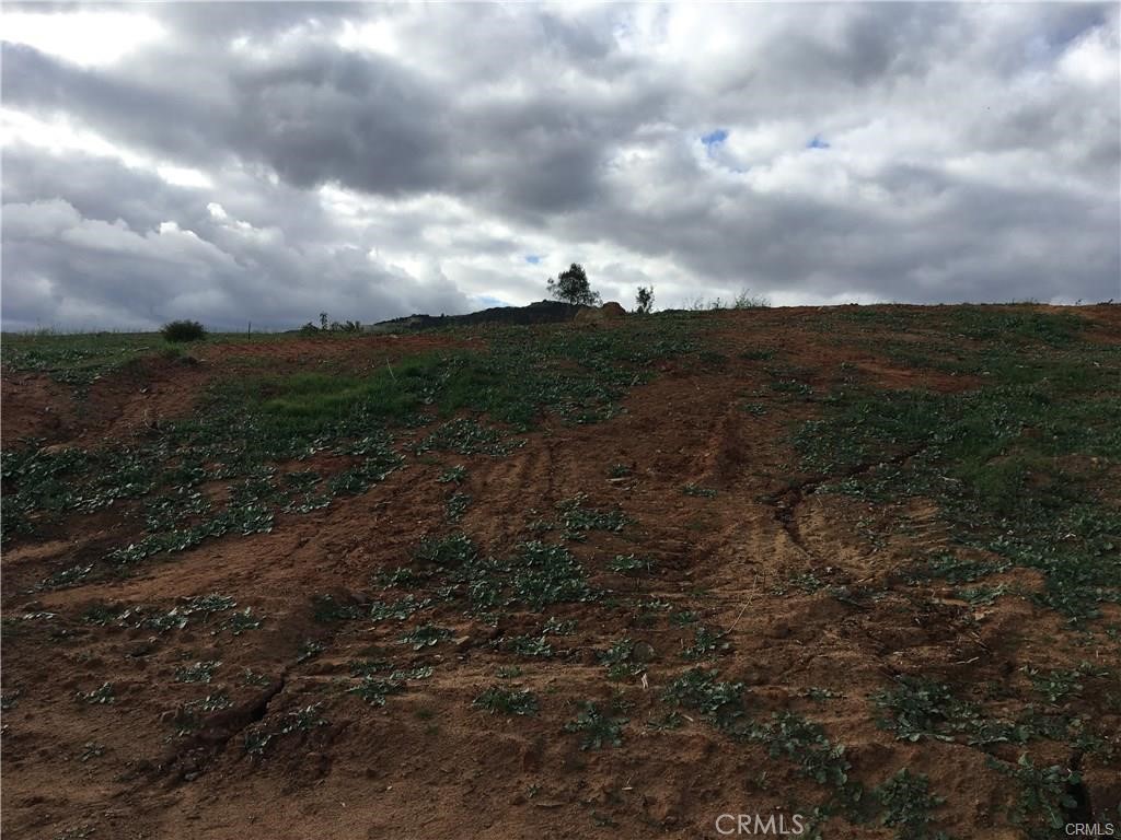 1 Camaron Rd. APN#933-080-015 Road