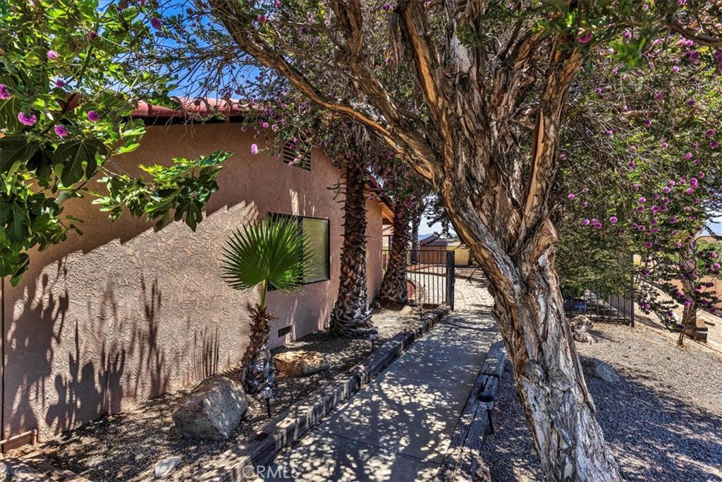 32020 Buena Ventura Road
