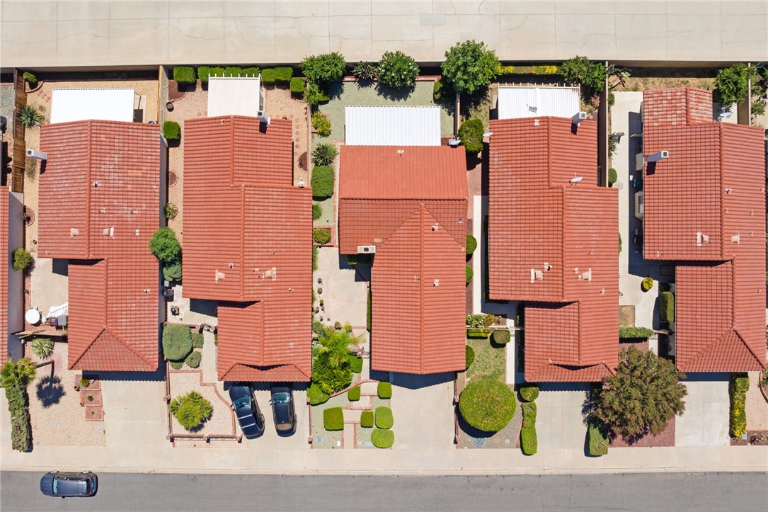 26133 Bluebell Street