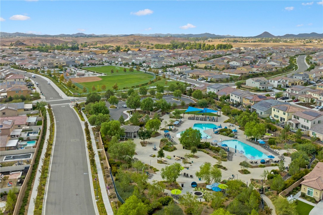 34166 Helenium Street