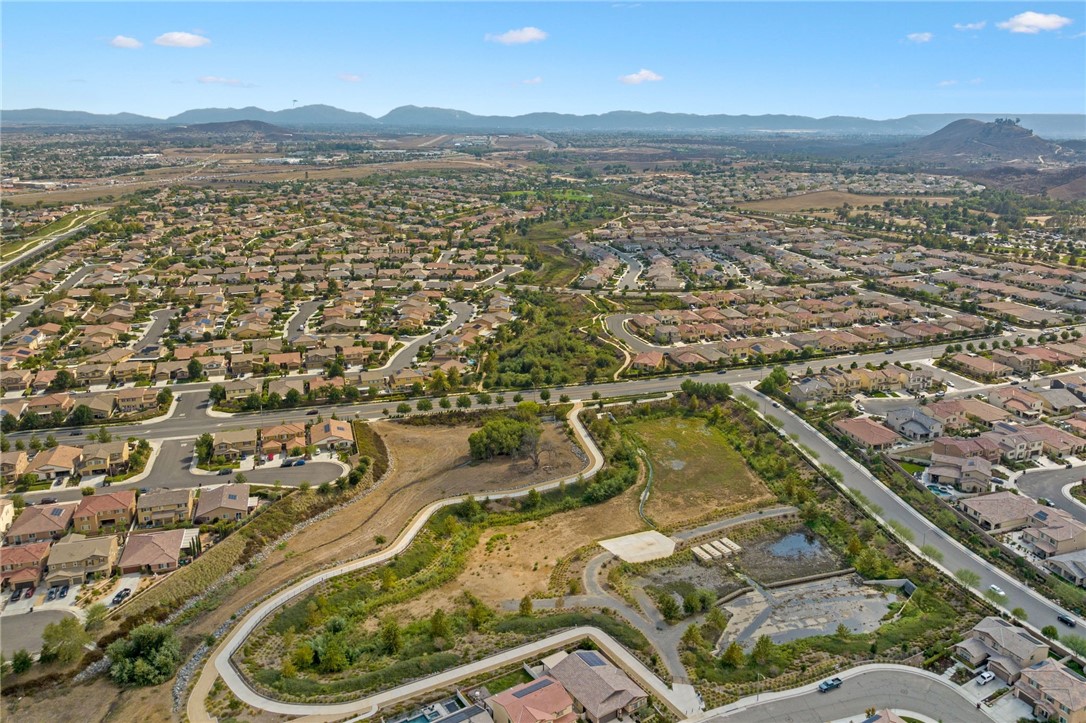 34166 Helenium Street