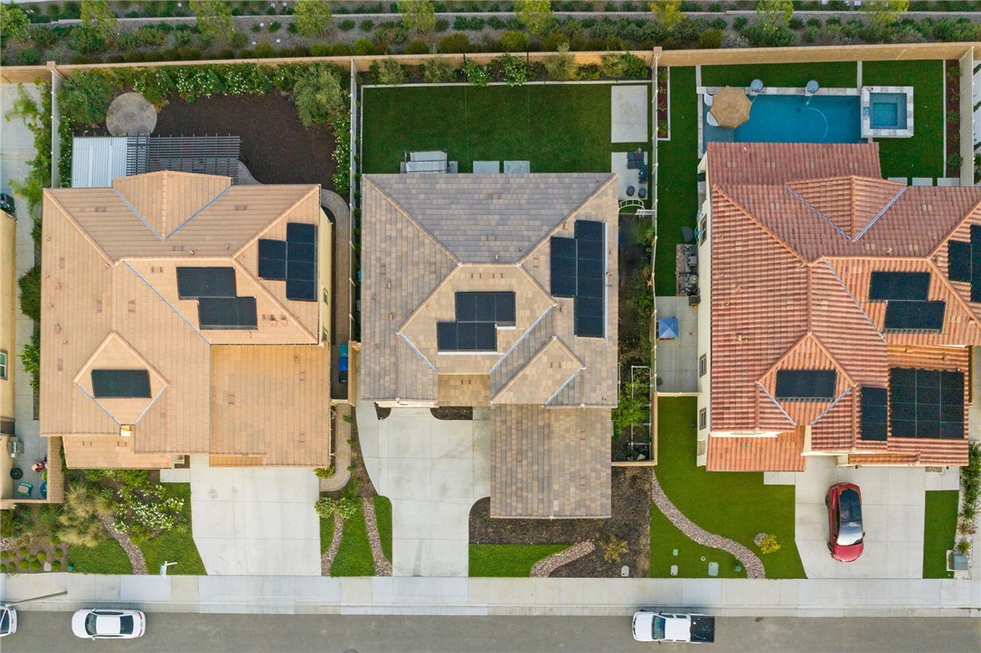 34166 Helenium Street