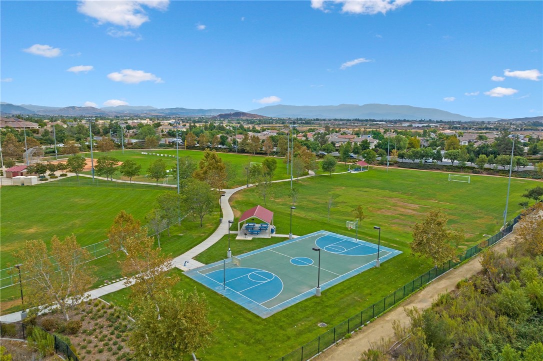 34166 Helenium Street