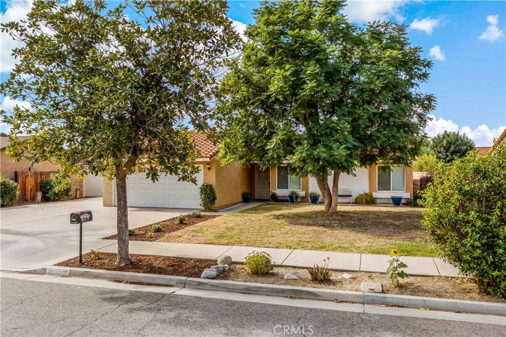 857 Sunflower Street
