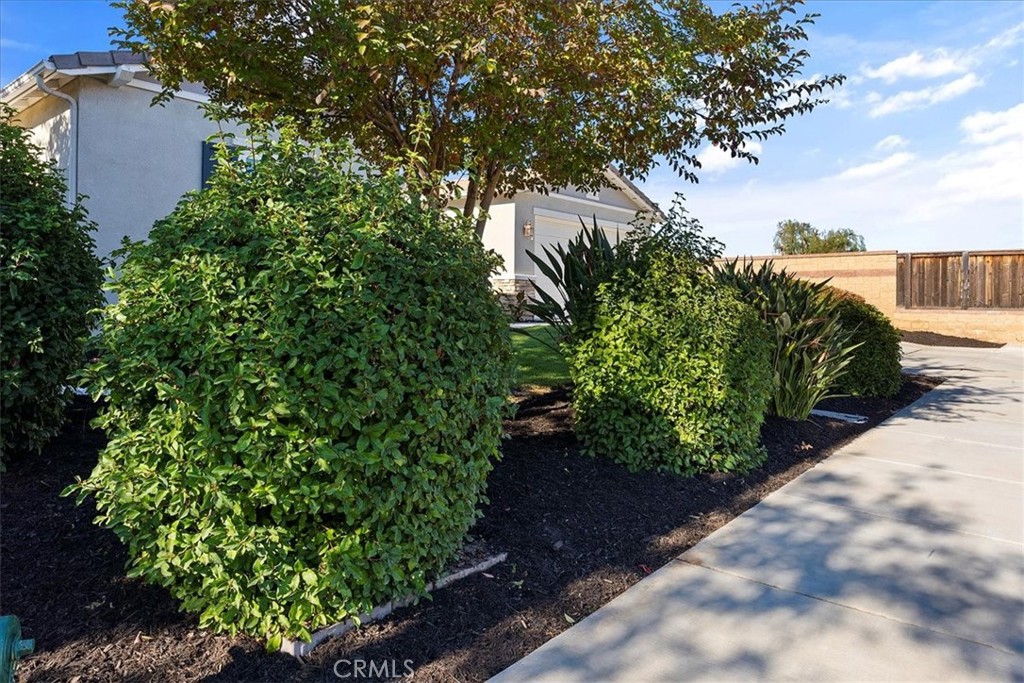 24061 Grafton Avenue