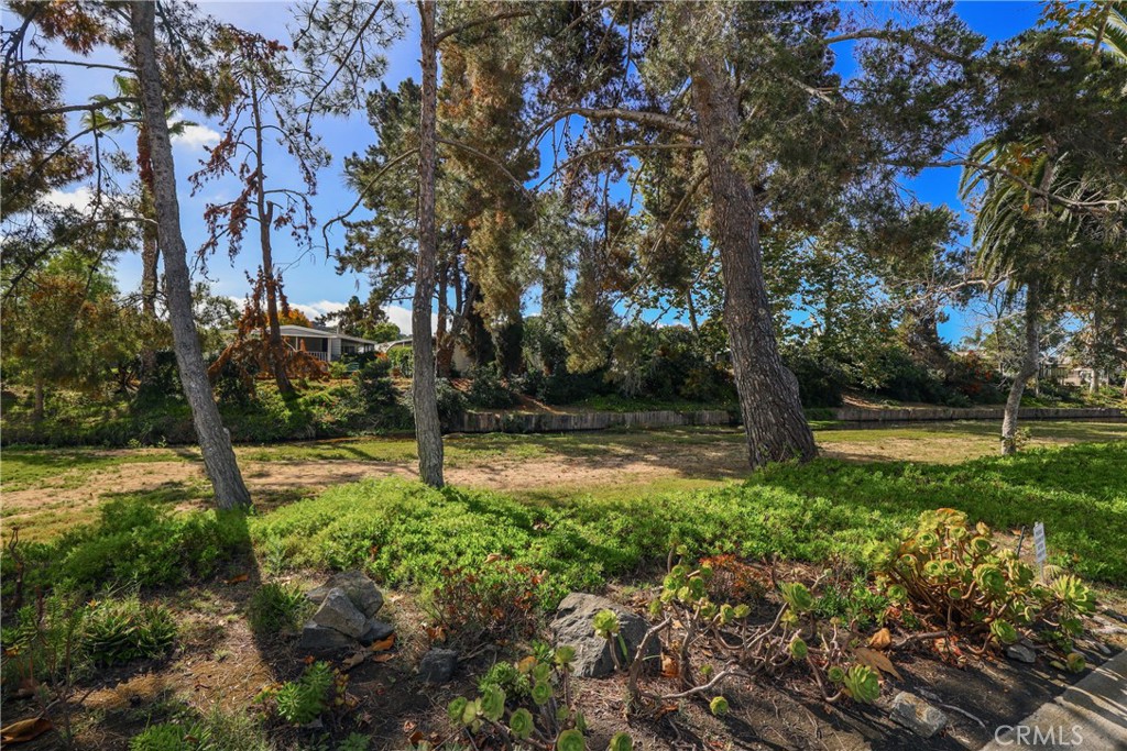 5358 Don Alvarez Drive