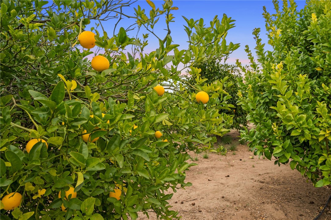 31725 Red Mountain Road