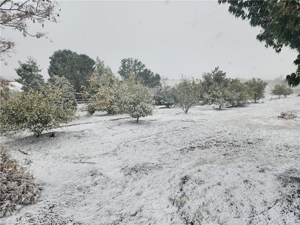 31725 Red Mountain Road