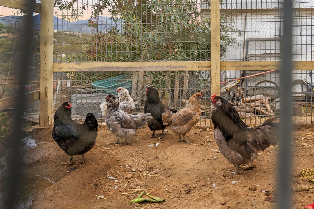 31725 Red Mountain Road