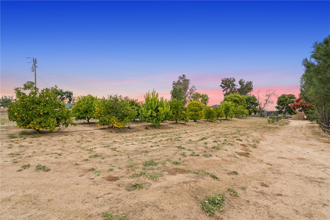 31725 Red Mountain Road