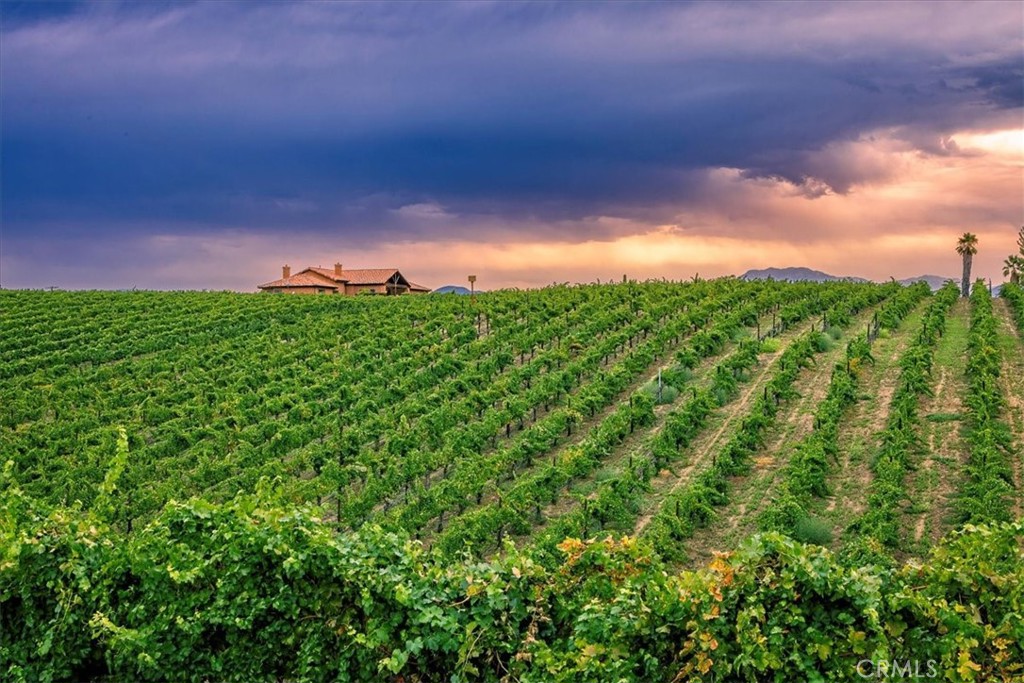 39695 Camino Del Vino