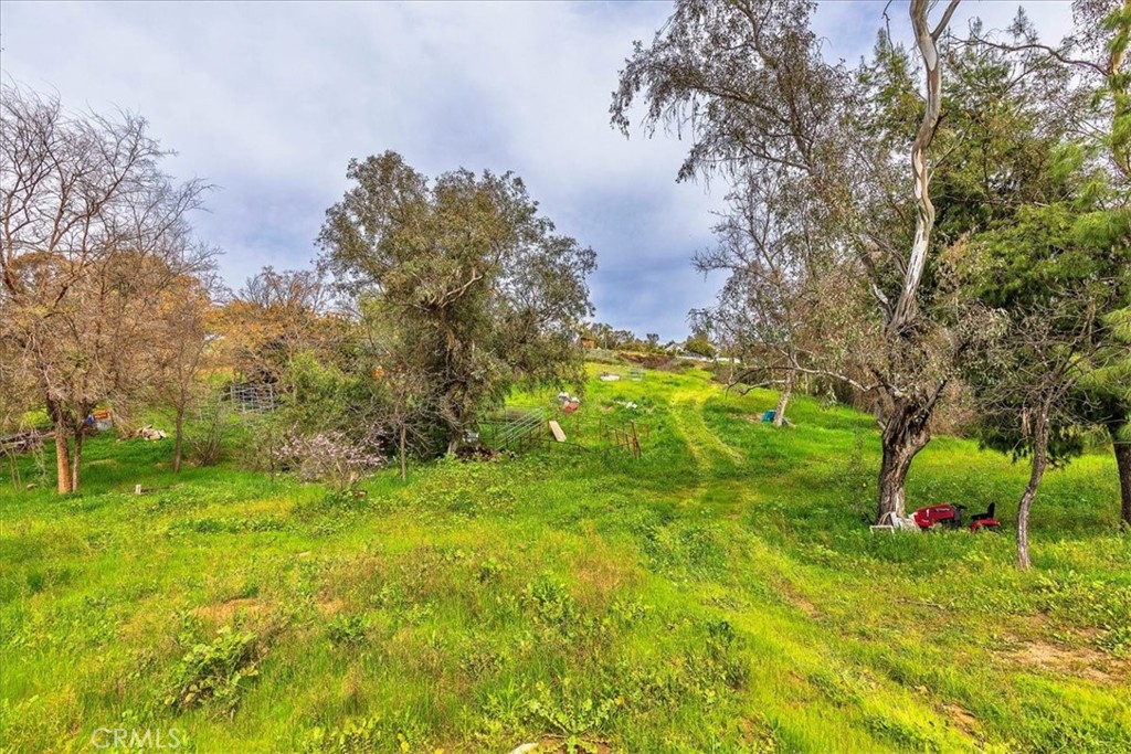 39695 Camino Del Vino