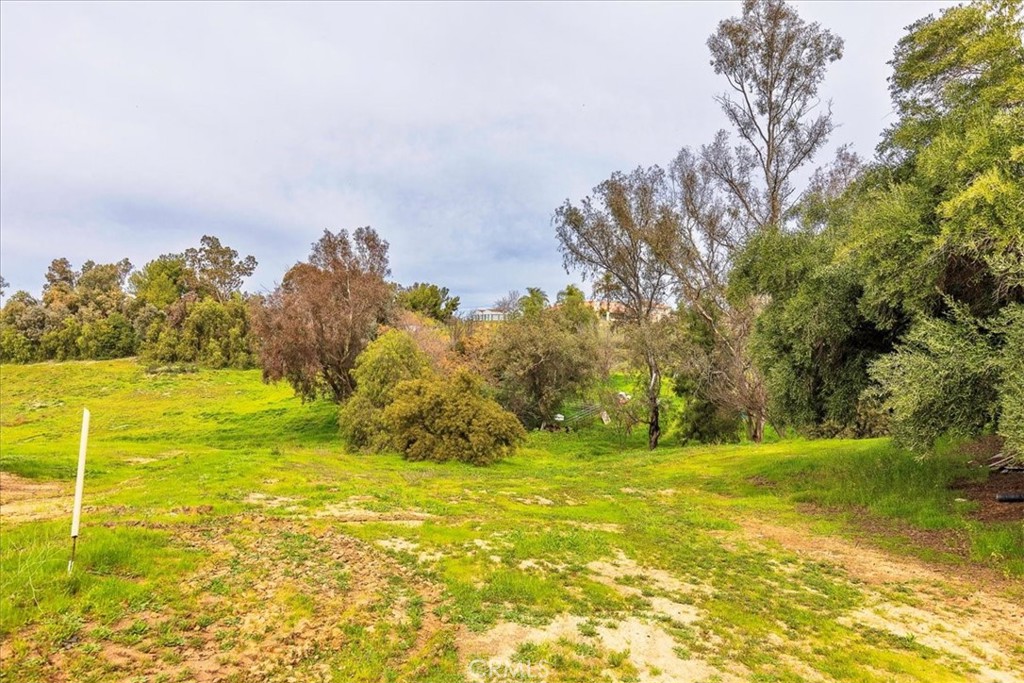 39695 Camino Del Vino