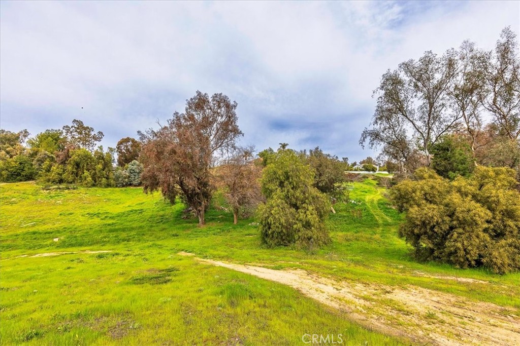 39695 Camino Del Vino