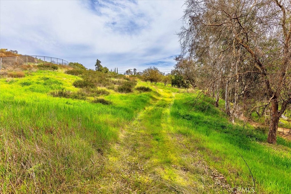 39695 Camino Del Vino