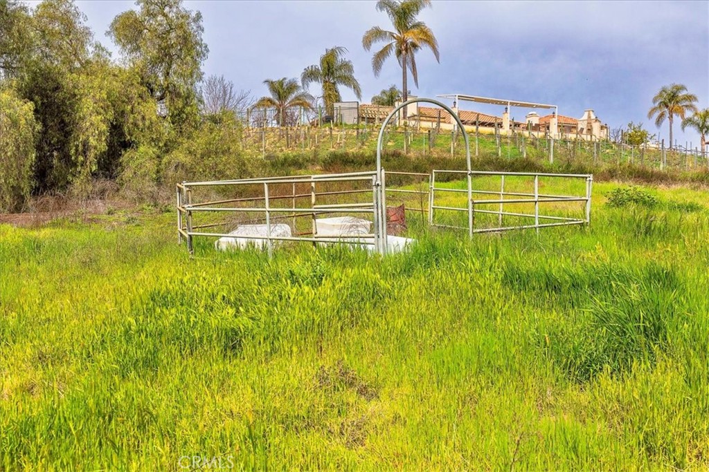 39695 Camino Del Vino