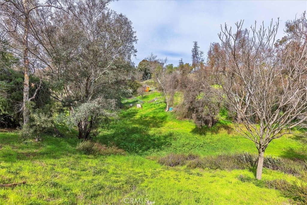 39695 Camino Del Vino