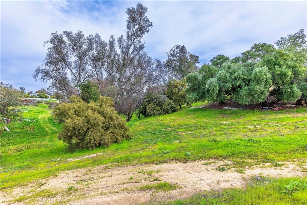 39695 Camino Del Vino